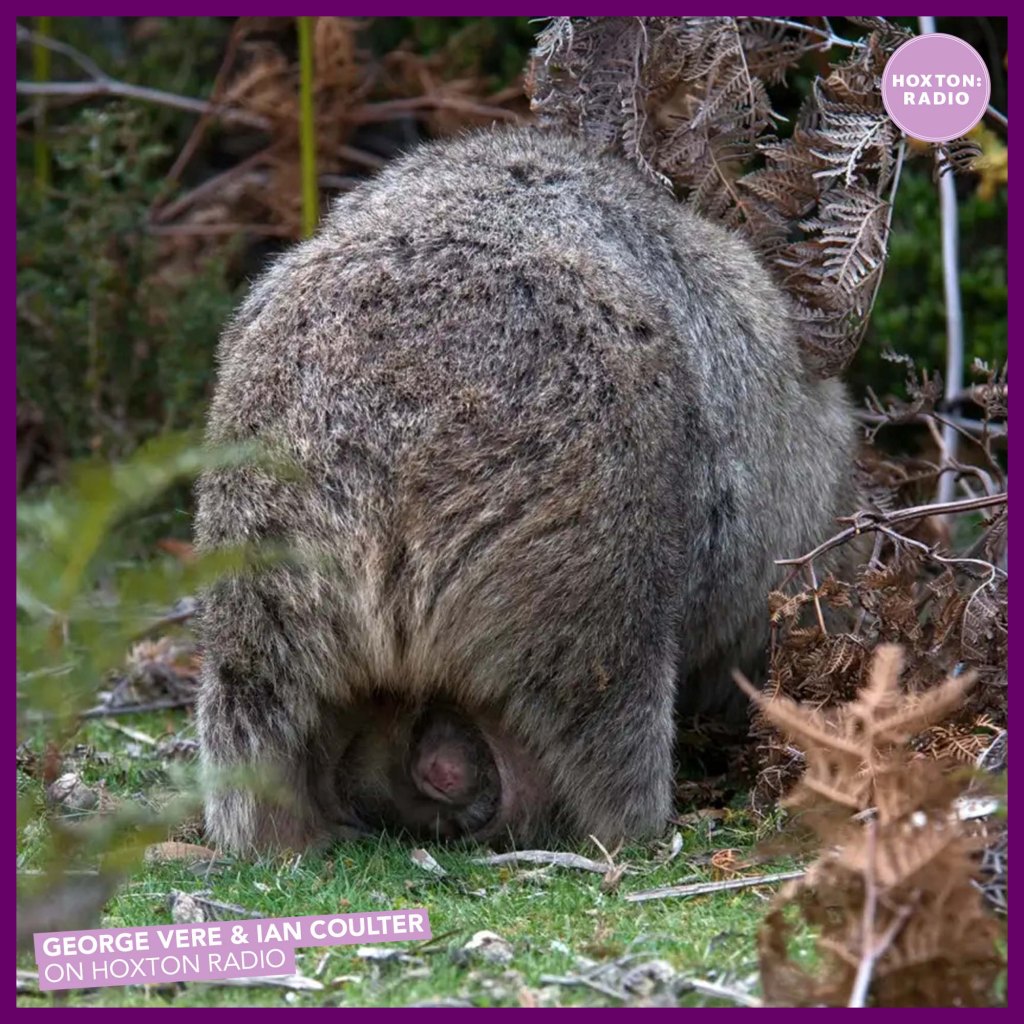 S2 E1 The official&nbsp;comeback