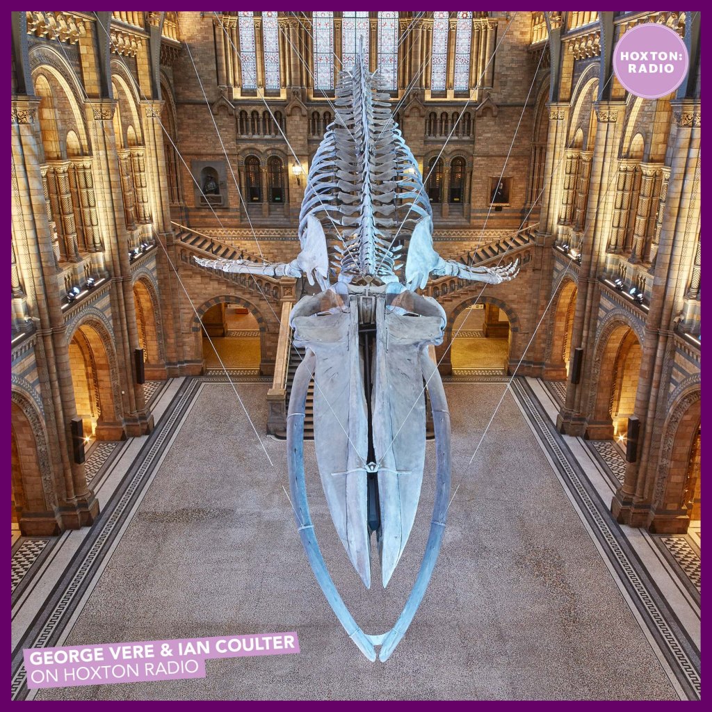 S2 E51 The Lost&nbsp;Episode